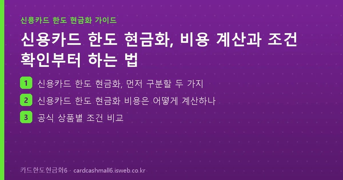 카드한도현금화6 핵심 내용을 정리한 요약 카드
