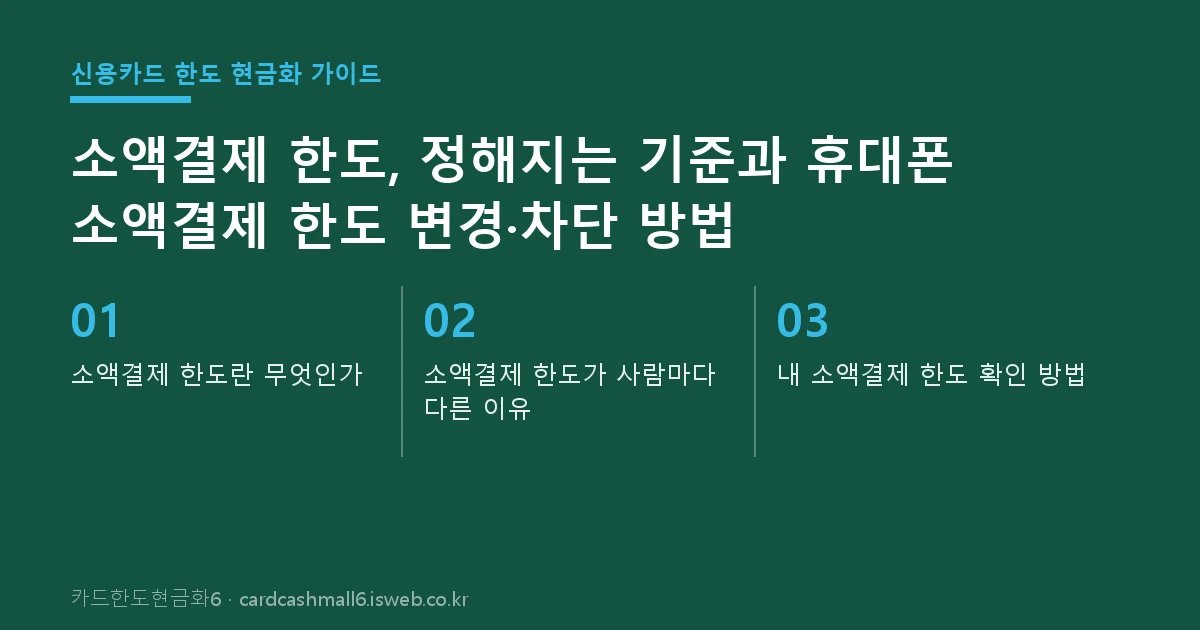 소액결제 한도 핵심 내용 요약
